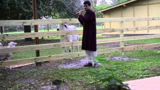 Indo American Academy of Classical Music Proudly Presents quot Flute Raman 39s Music for all CL126