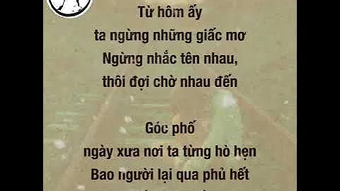 Từ hôm ấy ta ngừng hỏi thăm nhau