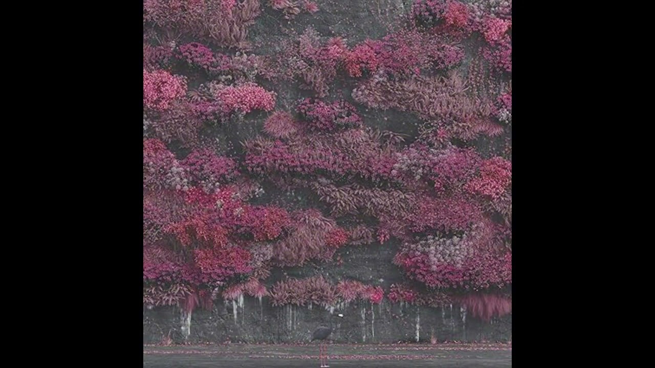 SLEEP TOKEN X BAD OMENS AMBIENT METALCORE TYPE BEAT - “CHASING” 