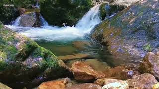 Relaxation The sound of a bubbling river that melts the brain [meditation, focus, calm the mind]