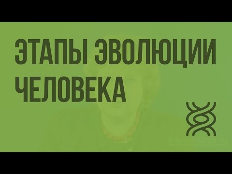 Этапы эволюции человека. Видеоурок по биологии 9 класс