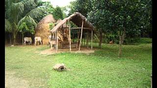 Vignette de la vidéo "Amar Barir Kache Arshi Nagar. Baul Songs By Kona Vadra."