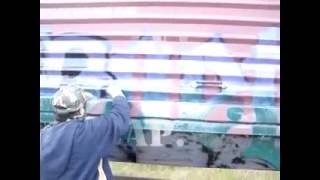 true vandals train cap. 8
