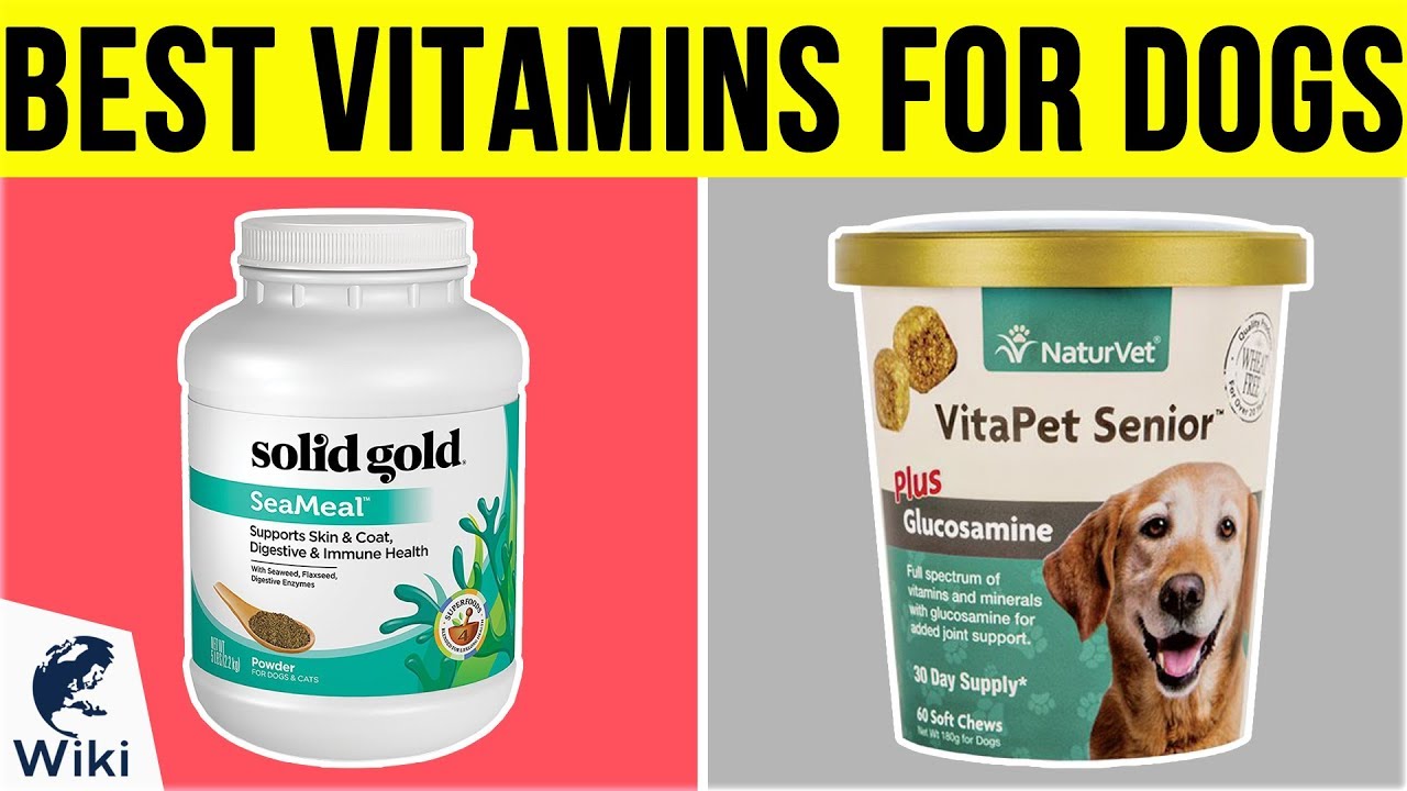 best dog vitamins and minerals