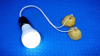 How To Make Free Energy With Potato and Salt | DIY Free Electricity At Home by Inventor and Life Hacker 288,575 views 9 months ago 5 minutes, 1 second