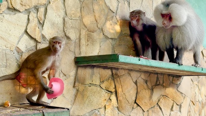 Орыс тілінде секс туралы көркем фильмдер