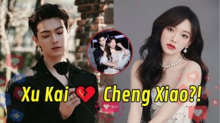 XuSong Fans in PANIC Mode After Xu Kai Spotted with Cheng Xiao