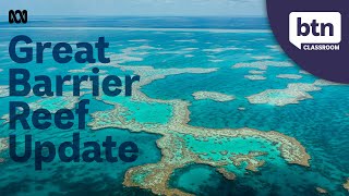 The Great Barrier Reef Avoids “In Danger” Listing From UNESCO - Behind the News