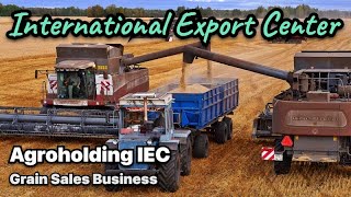 Agribusiness. Profit from the sale of grain. Agroholding IEC. Grain market. Agricultural industry.