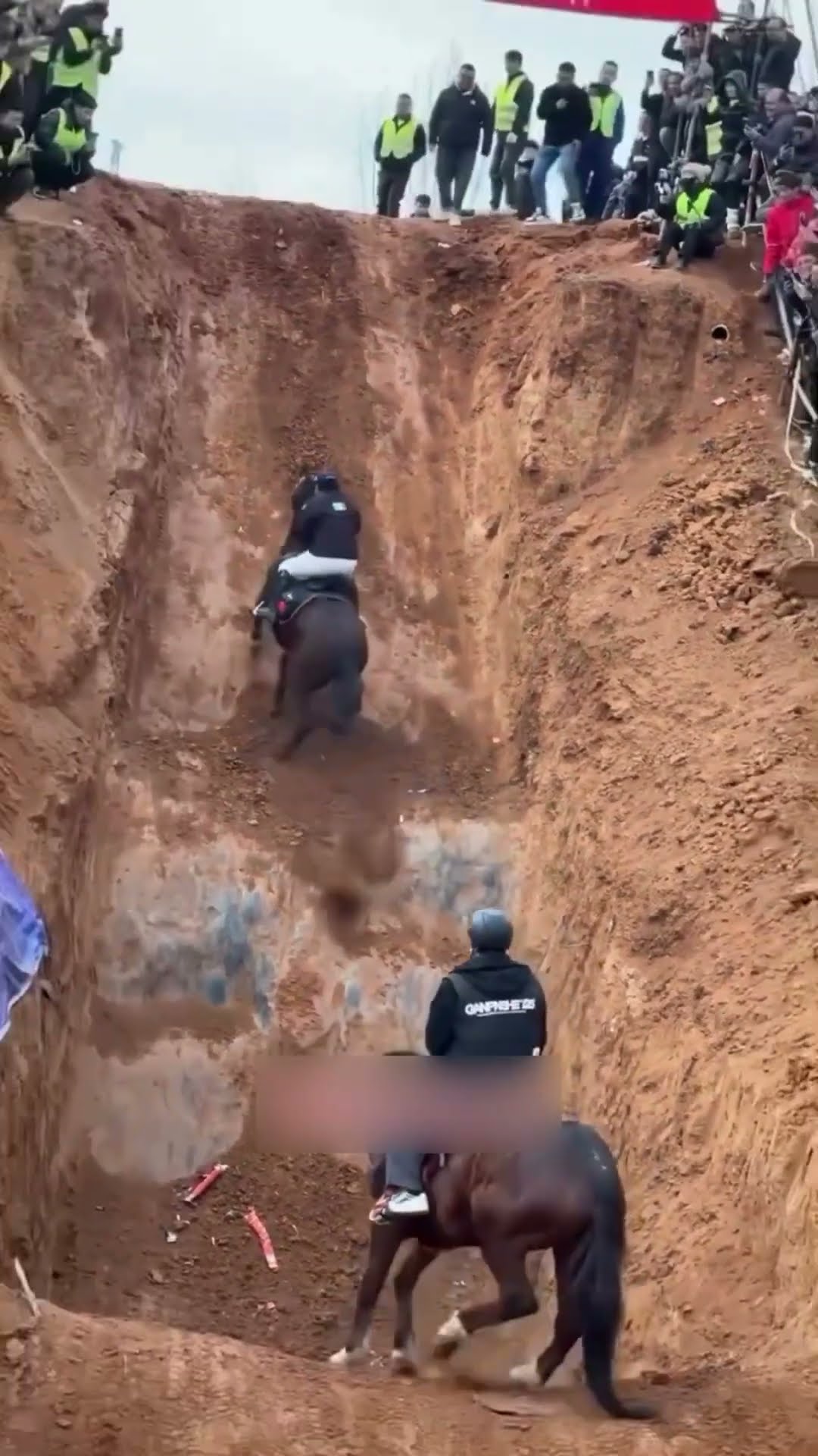 horse got stuck in the pit #shortsvideo