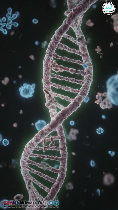 Right now, Trillions of your cells are duplicating DNA with atomic precision 💡#info  