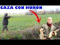 👉CAZA con HURÓN y ESCOPETA🐇⚠️ (Caza de conejos con hurón 2020/2021) Caza en Cedillo del Condado