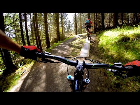 glentress forest mtb