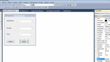 Crear Reportes con Visual Studio 2010 con ReportViewer y procedimientos almacenados en C# part 3