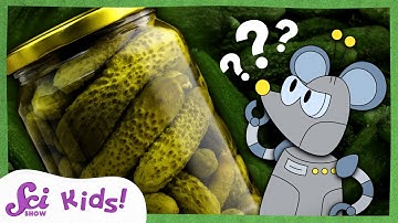 What Are Pickles? | The Science of Food! | SciShow Kids