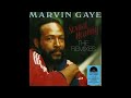 Marvin Gaye - Sexual Healing (Sexual Healing Suite - Remix) 1982