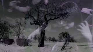 Vídeo de Wintermärchen