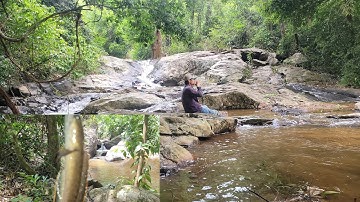 Câu Cá nấu cơm ăn ớ dòng Suối trong rừng | cảnh đẹp thác nước núi rừng Tây Nguyên | Câu Cá Giải Trí