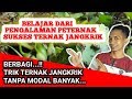 Cara Ternak Jangkrik Tanpa Banyak Modal