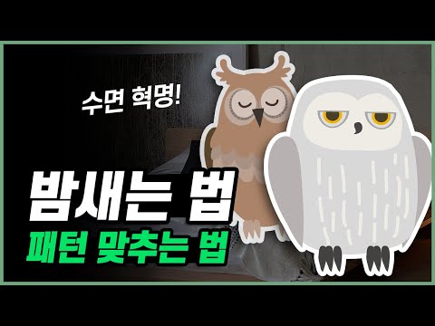 수면 전문가들이 말하는 핵 꿀팁