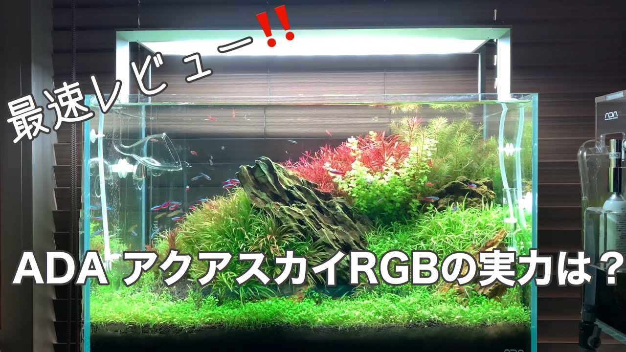 ADA アクアスカイ　RGB 60 値下げ