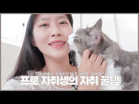 (<strong>스마트전구</strong>, 구글 홈 미니, 무드등, 슬라이딩 휴지통, 샤워기 홀더, 전등 리모컨)