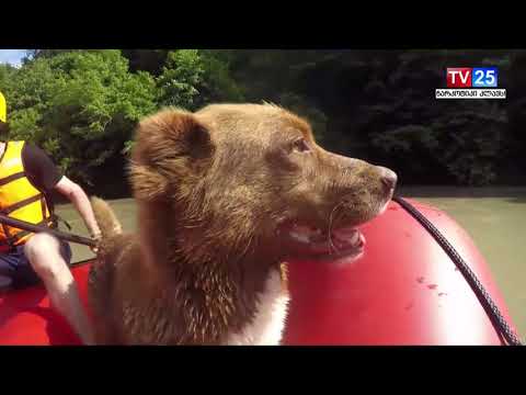 ცუგა, რომელიც ჯომარდობის ინსტრუქტორთან მეგობრობს