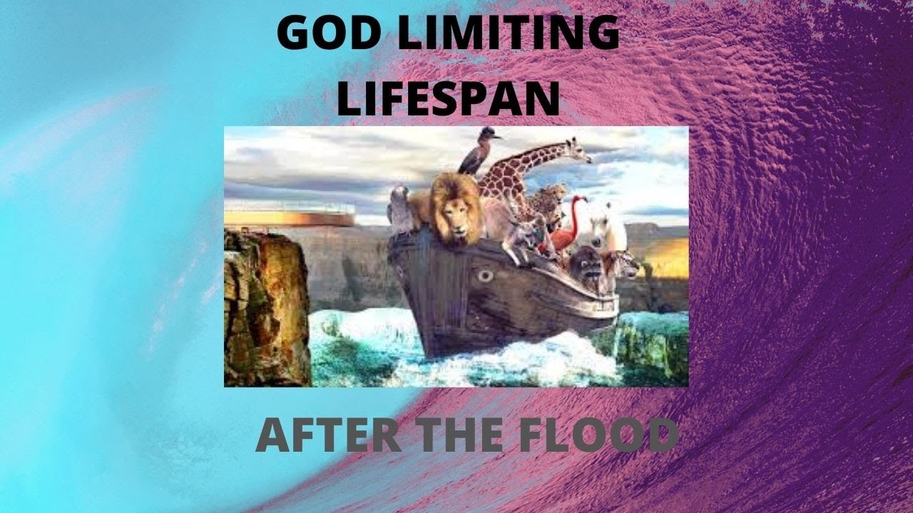 LIFESPAN LIMITED BY GOD AND THE FLOOD