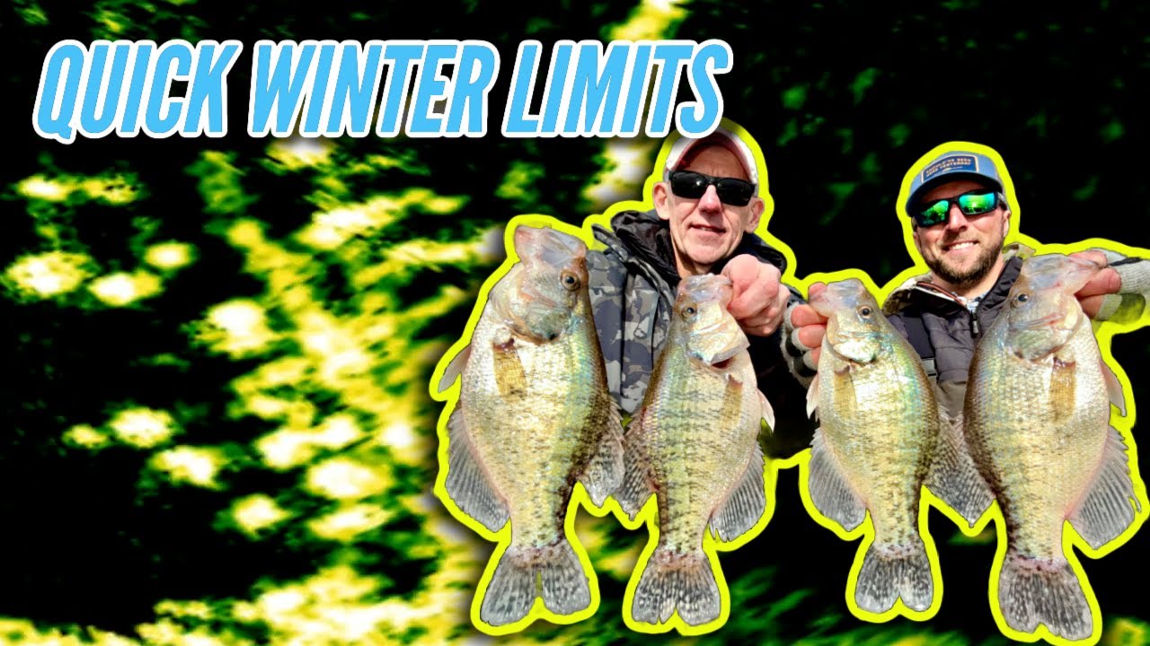 January Crappie Fishing with LIVESCOPE - These Trees are LOADED!!