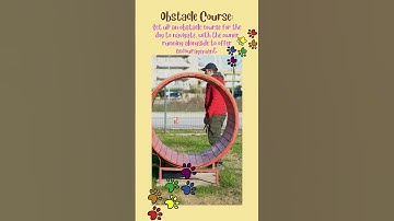 Obstacle Course Set up an obstacle course for the dog to navigate, with the owner running alongside