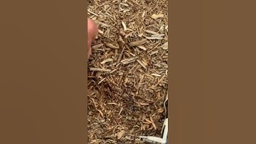 Nokta Makro Simplex Metal Detecting Tot Lots|Metal Detecting PlayGround Tot Lots