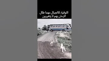 اغنية مش حانساك أغاني 2025 اغاني اغنية اكسبلور تعليم لايك 