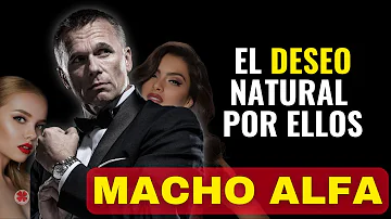 ¿Qué es una personalidad de macho alfa?