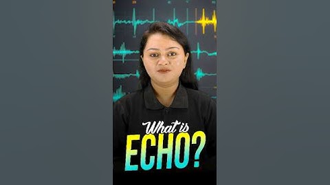 What is an Echo? Understanding Sound Reflection🗣️