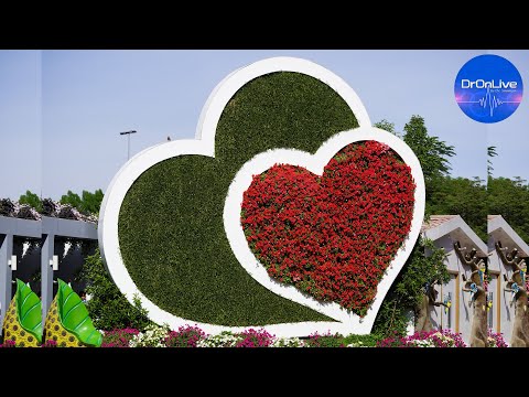Highlights of Dubai Miracle Garden 2022 | Places to visit in Dubai 2022 | Miracle garden Dubai