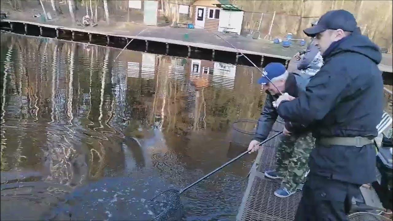 Клёвое место лосиный остров нижний пруд. Рыболовный клуб клевое место лосиный остров. Клевое место гостиница лосиный остров. Лосиный остров рыбалка платная. Клевое место платная рыбалка лосиный остров.