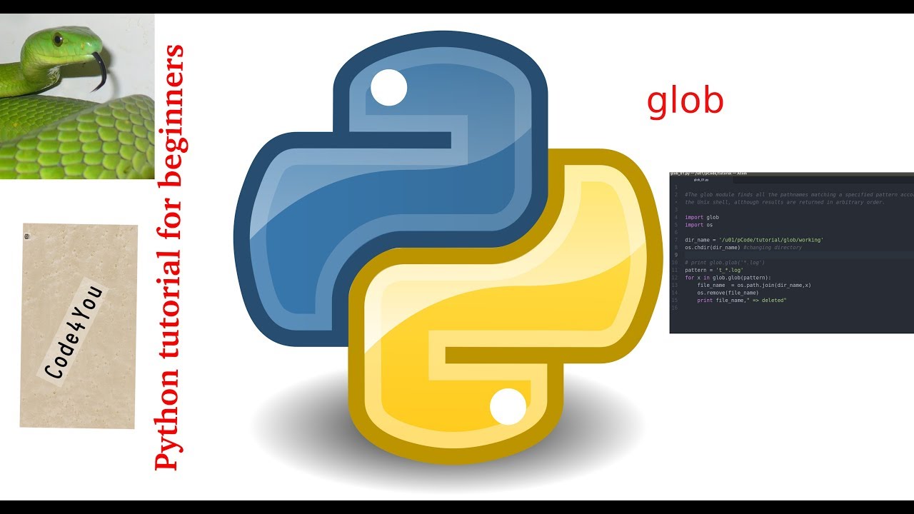 python glob module|glob.glob pattern in python|| Python Tutorial #10|| Python Tutorial for Beginners - YouTube Python Glob Module|Glob.Glob Pattern In Python|| Python Tutorial #10|| Python Tutorial For Beginners - Youtube