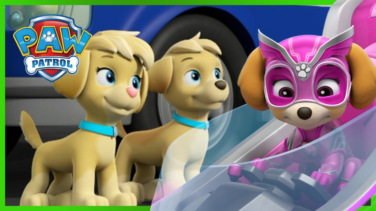 Skye Meets the Mighty Twins and MORE, PAW Patrol