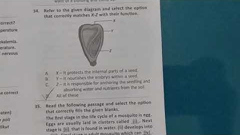 CLASS 6 SOF NSO 2025 26 SET A with Provisional answers publer com
