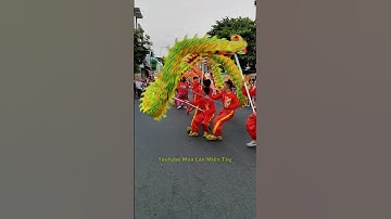 Tết Nguyên Tiêu Quận 11 #mualantet2025 #liondance #mualanongdia #mualanhay #lansurong