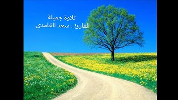 تلاوة جميلة بدء الصافات إلى اية (٧٤) من سورة ص القارئ : سعد الغامدي