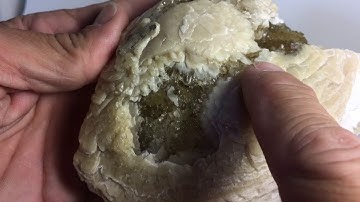 Fossil Calcite Clam Shell! Only found in Ft. Drum Florida. CS12