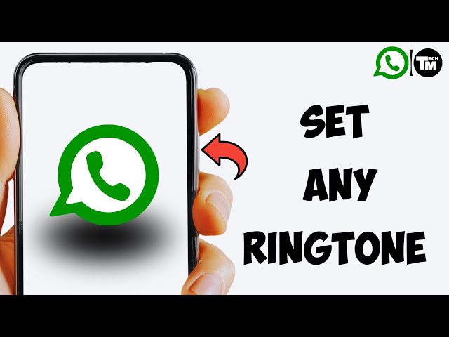 How To Set Custom Ringtone on Whatsapp 2023 class=