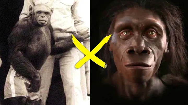 Top 10 Evolution Misconceptions That MOST People Have