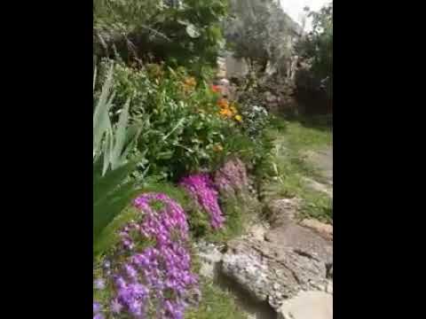 ام كلثوم الورد جميل مع فيديو للورد رائع