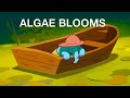 Eutrophication and Algae Blooms Impacting Our Waterways and Health