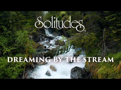 Dan Gibsons Solitudes So Softly Flows Dreaming By The Stream Dan Gibsons Solitudes So Softly Flows Dreaming By The Stream