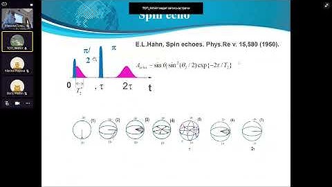 Sergey Moiseev Pulse area theorem and ROSE protokol of optical memory in a crystal waveguide
