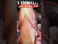 أفضل نوع سمك بلطي جودة عاليه متميز السمك البلطي