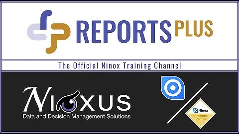 Ninox Reports - Reports Plus Navigation Pane